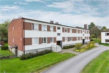 Image missing alt text